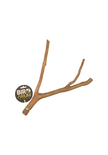 Bird Arium Naturel Dal Kuş Tüneği 35- 45 Cm