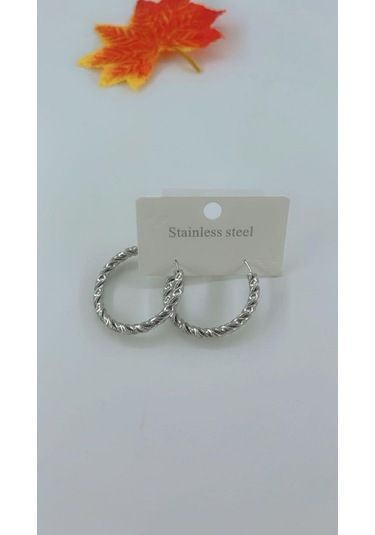 Kadın Burgu Tasarım Çelik Küpe Gümüş Renk