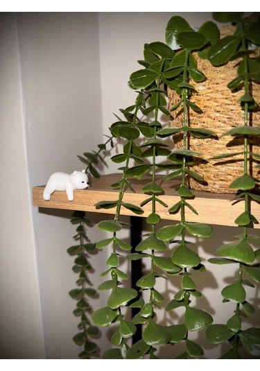 Sevimli Uyuyan Ayı Araba Dikiz Aynası Süsü - Araç İçi Aksesuar Süsü - Mutfak Süsü Torpido Süsü Ayı