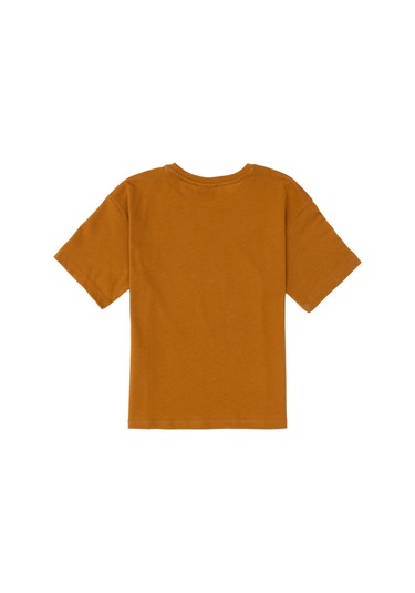 U.s. Polo Assn. Erkek Çocuk Coconut Tişört Basic 50295503-vr153 Coconut Kahverengi U.s. Polo Assn. Erkek Çocuk Coconut Tişört Basic 50295503-vr153 Coconut Kahverengi