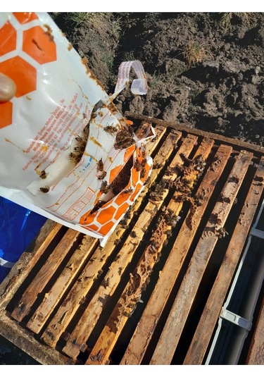 Fondan Şeker Arı Keki 20 Kg