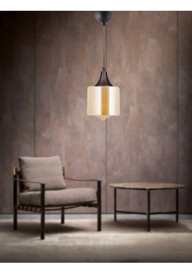 Tt029-1-Sy-Bal Tt Aydınlatma Mat Siyah - Bal Tekli Avize