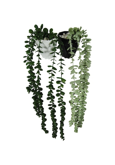 Yapay Çiçek DIY Elmas Saksı İçerisinde Sarkan Okaliptus 2'li Set Çok Renkli