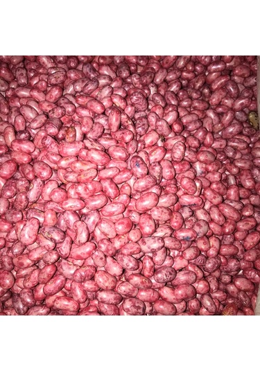 Gina Oturak Fasulye Tohumu 100 GR N114581