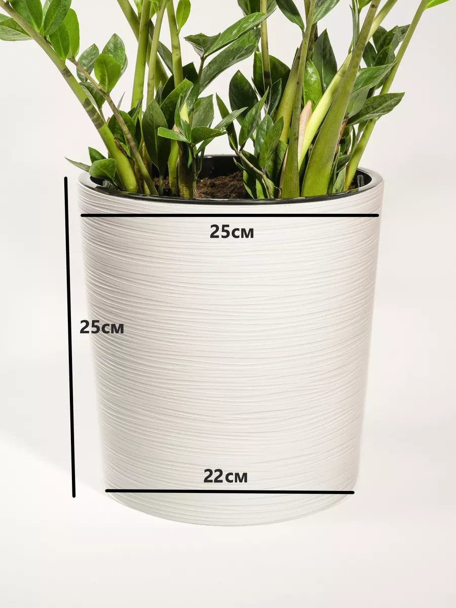 Live-in-green Hemiletlo Çiçek Saksısı, Otomatik Sulama, 10 Litre, Plastik 179614391