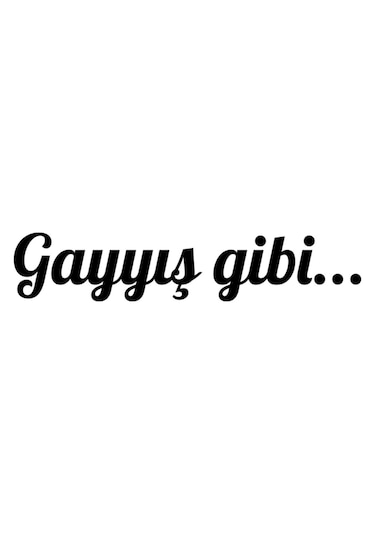 Gayyış Gibi Oto Cam Özel Yeni Sticker Siyah 20 4 Cm