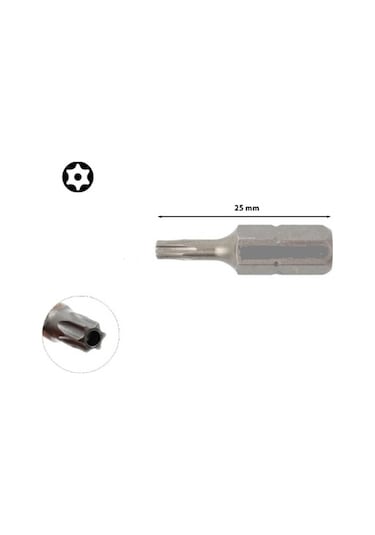 Proscr T40 Delikli Torx Uç 10 Adet