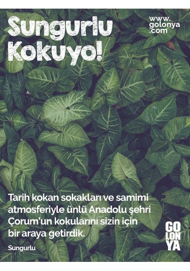 Golonya Sungurlu Cam Şişe Kolonya 250 ML