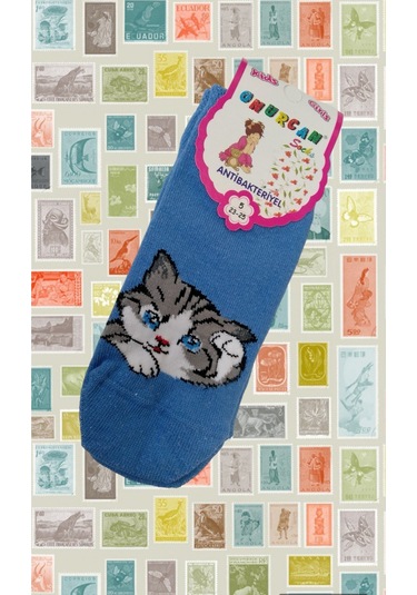 Shopiolog Kedi Desenli Çocuk Çorabı 4'lü Set
