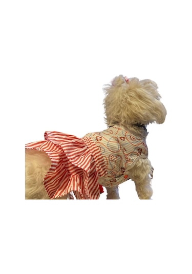 Gedyco Navy Red Küçük Irk Köpek Elbisesi