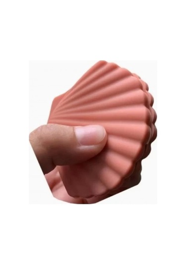 Deniz Kabuğu Şeklinde Tutacak Renkli