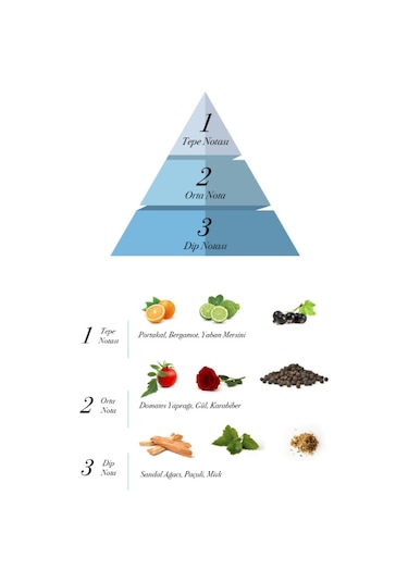 Prova L'Essence ve Heracles EDP Erkek Parfüm Seti 2 x 100 ML