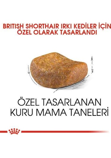 Royal Canin British Shorthair Kedilerine Özel Mama 10 KG