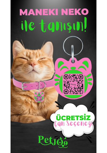 Petjoo 4.Maneki Neko Yeşil-Pembe Qr'lı Kedi Künyesi