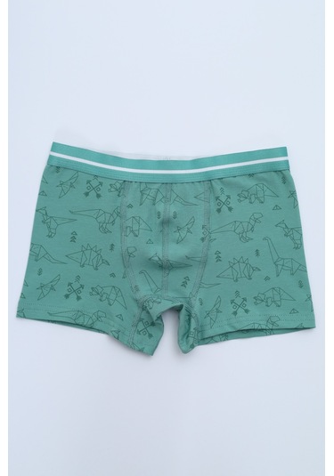 Toontoy Erkek Çocuk Garni Dikişli 4lü Paket Boxer Çok Renkli