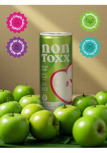 Nontoxx Elmalı, Sirkeli, Gazlı İçecek 250 Ml