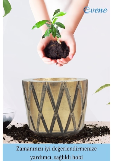 Saksı Çiçek Kaktüs Saksısı Lüx 15 Cm Baklava Desen Saksı Çiçeklik - Altın Eskitme