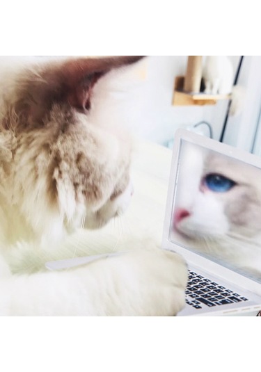 Shineyee Portatif Mini Dizüstü Stili Güneş Parlatıcı Pudra Makyaj Aracı Beyaz Camlı Ayna