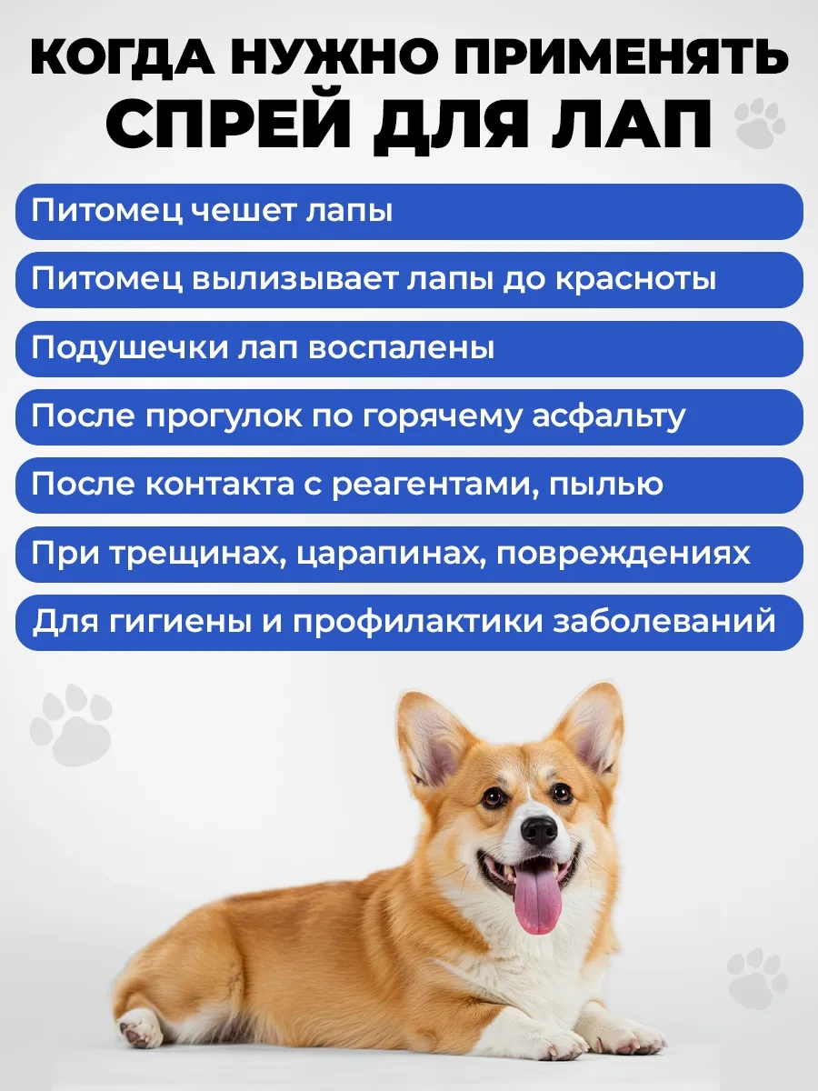 Spets Klorheksidin Ve Panthenol İçeren Köpek Pati Spreyi 250 Ml 271212411