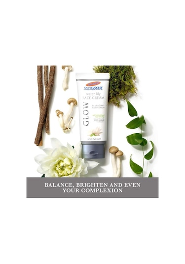 Palmers Skin Success Water Lily Glow Face Cream 75 G