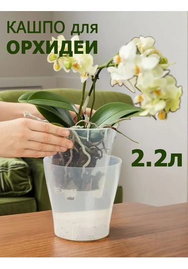 Al' Ternatıva Leia Orkide Saksısı 2,2 L, Drenajlı 13195594