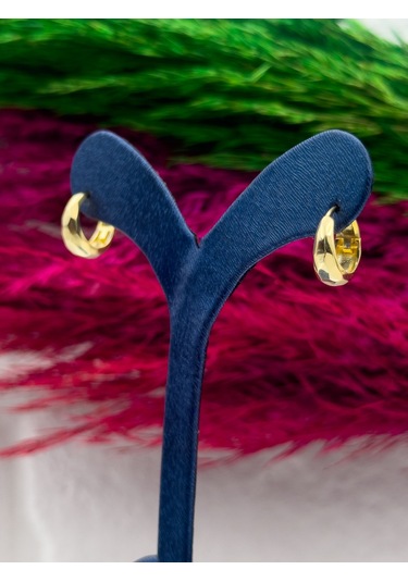 925 Ayar Gümüş Kalemli Gold Renk Halka Modeli Zarif Kadın Küpe Gümüş