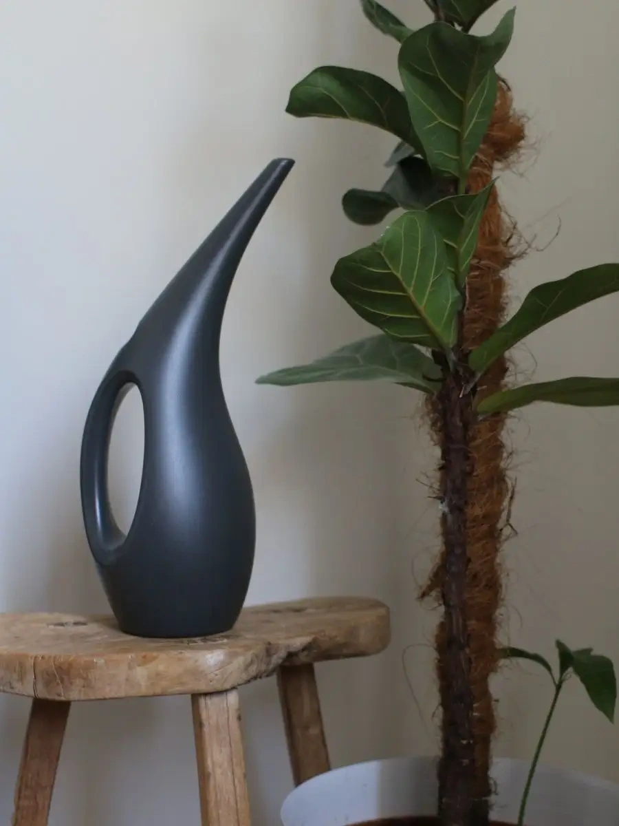 Zeytin Home İç Mekan Çiçekleri İçin Sulama Kasesi 75979410