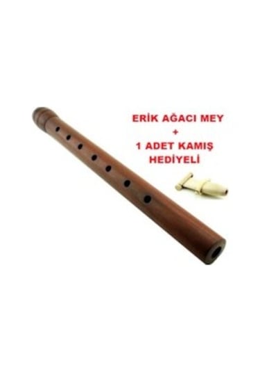 Mey Erik Ağacı Küçük Boy Re Sesli-kamış