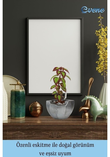 Saksı Çiçek Kaktüs Saksısı Lüx 15 Cm Önü Açık Desenli 3'lü Set Çiçeklik - Gümüş Eskitme