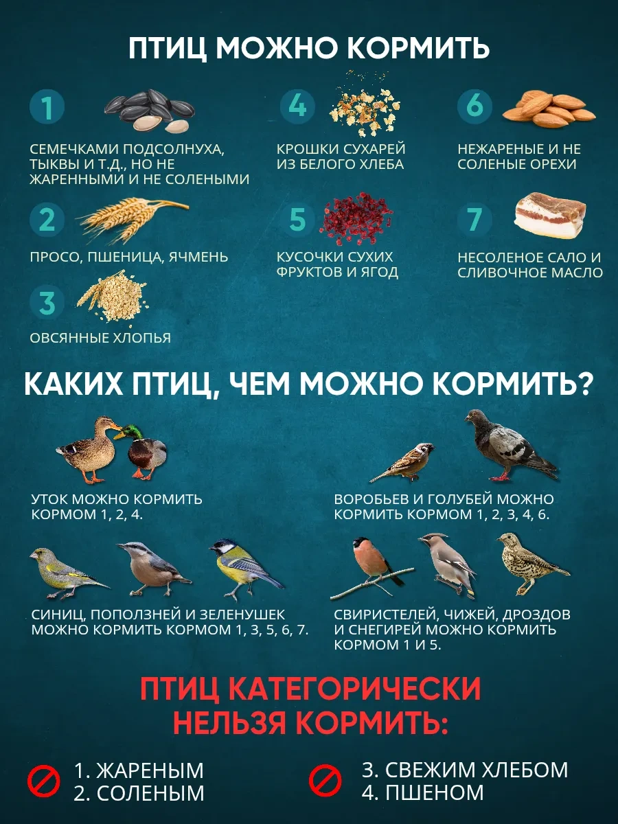 Anticarapki Dış Mekan Kuş Yemliği 2 Adet 439905809