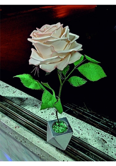 Dekoratif Gül Ambiyans