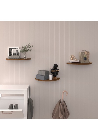 Doğal Modern Organizer Düzenleyici 3'lü Oval Dekoratif Kitaplık Banyo Mutfak Duvar Rafı Ceviz