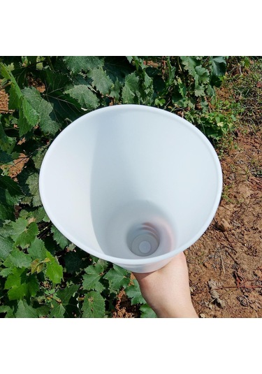 Homyl Üzüm Daldırma Fincanı 8.66x4.72 "aksesuarlar Meyve