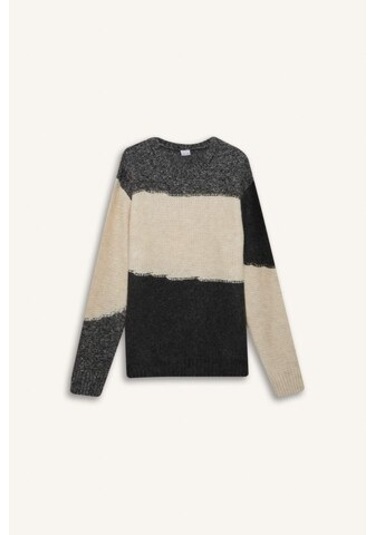 DeFacto Standart Fit Bisiklet Yaka Triko Kazak E6985AX24WNGR210