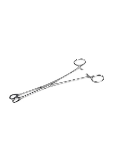 Forester Pensi Düz 25cm