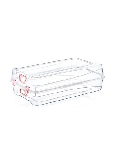 Larimar Kadın Ayakkabı Kutusu - 9006538386310lmr Çok Renkli