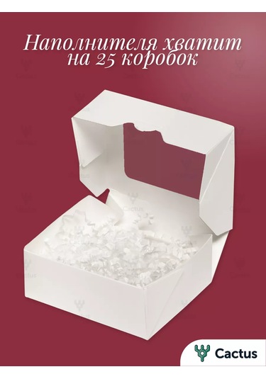 Cactus Kendin Yap Hediye Kutusu, Kağıt Dolgu Malzemesi İle 209739738