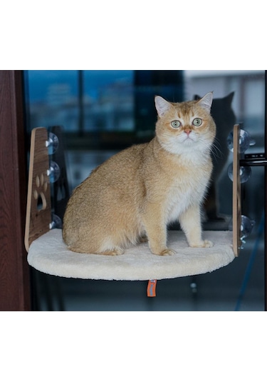 Cam Yatağı Vantuzlu Kedi Cam Yatağı Vantuzlu Yatak Krem