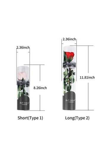 Trendooze Yıl Sonsuz Sonsuz Sevgililer Romantik Pembe Partisi Parfümlü Noel Korunmuş Kadınlar İçin Hediye Günü Günü Gül Gül Gül Gerçek Festivalleri Ev Düğün Dönümü Çiçeği Çiçeği Arifesi Anneler Pe Pembe