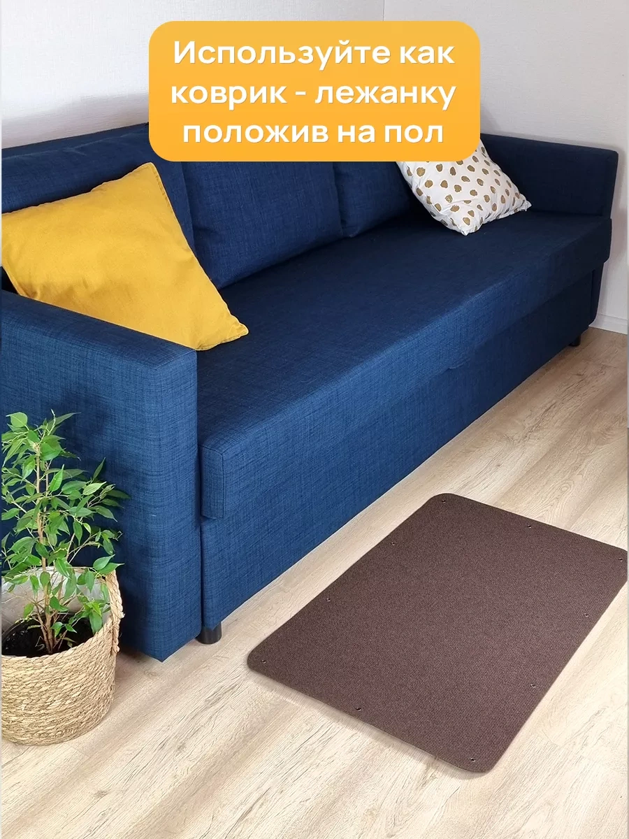 Aseliadia Kedi Kınağı - 80x50 Cm Kanepe Tipi 214462810