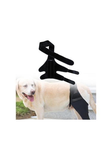 Homyl Köpek Bacak Desteği Esnek Destek Bandajları Malzemeleri