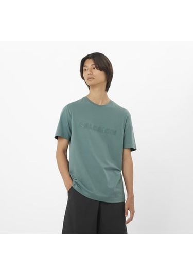 Salomon Bıg Logo Tee M North Atlantic// Erk T-shırt Lc2526700 Gri