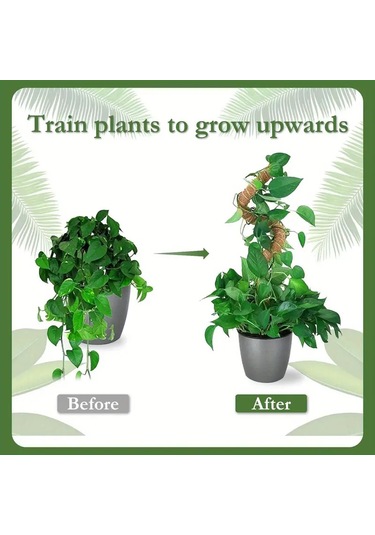 Bitki Tırmanma Braketi Sarmaşık Ve Çiçekler İçin Dayanıklı Destek Aparatı