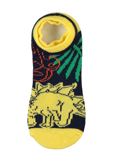 Civil Boys Erkek Çocuk 3'lü Çorap Set 2-12 Yaş Standart Standart