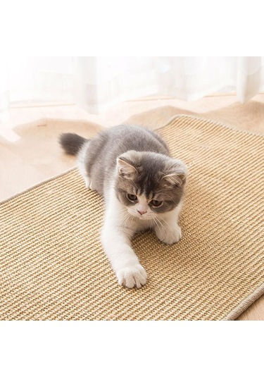 Suntek Kedi Tırmalama Mat Pedi Taşlama Pençesi Koruma Kanepe