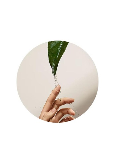 Botanical Repair Onarım Seti - 3'lü