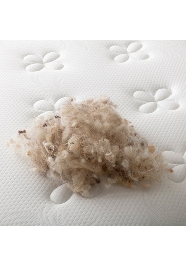 Uzunbebe 120X200 Pc Parrot Astra Ortopedik Tek Kişilik Yaylı Yatak