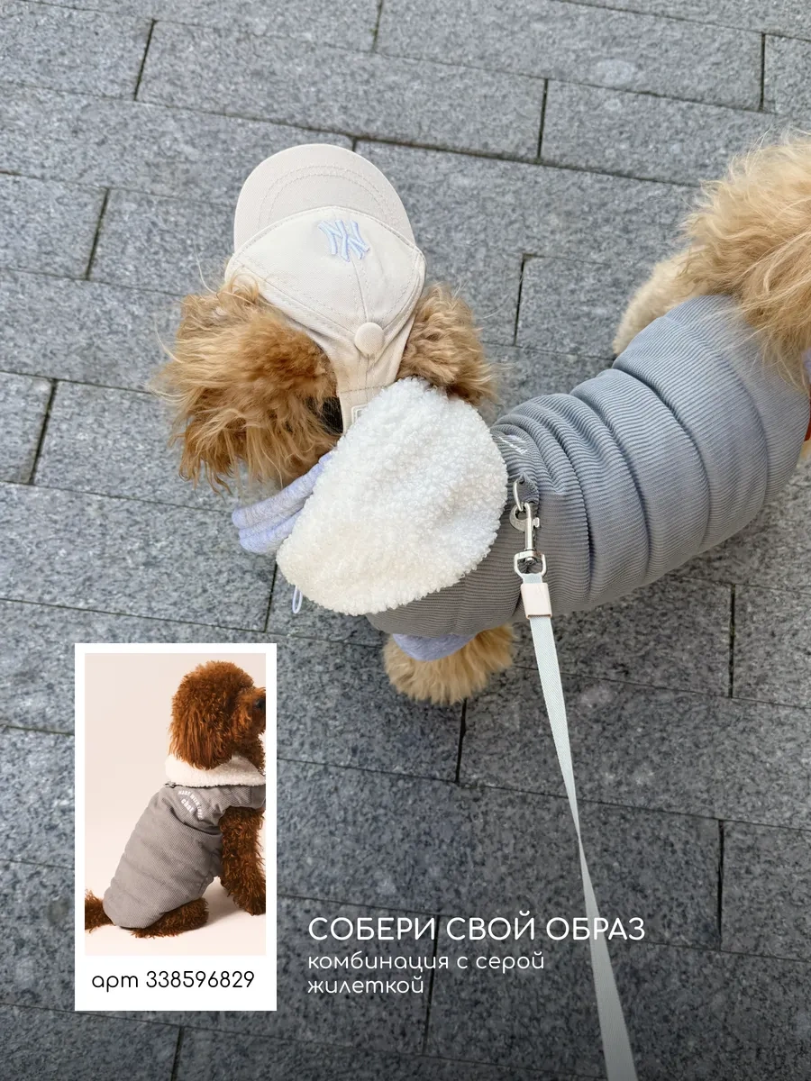 Petite Pets Ny Köpek Şapkası 409873959