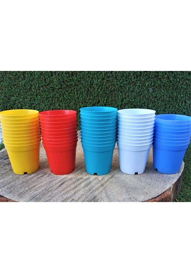 Kaktüs Saksısı 5,5X5 Cm Kaktüs Sukulent Üretim Saksıları Renk Seç