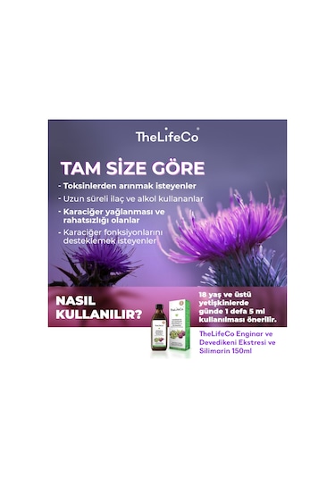 The Lifeco Enginar & Devedikeni Sıvı Ekstraktı 150 ML